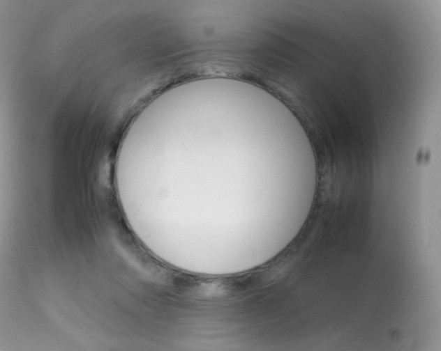 X0000113620310200909181122