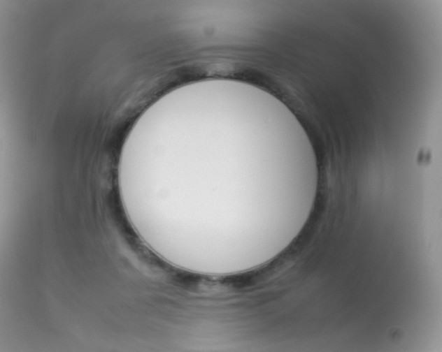 X0000113620311200909181122