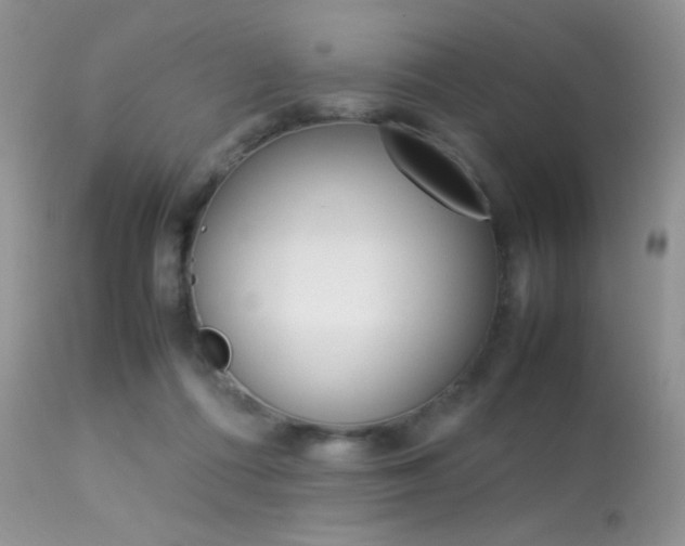 X0000113620312200909181122