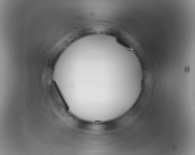 X0000113620313200909181122