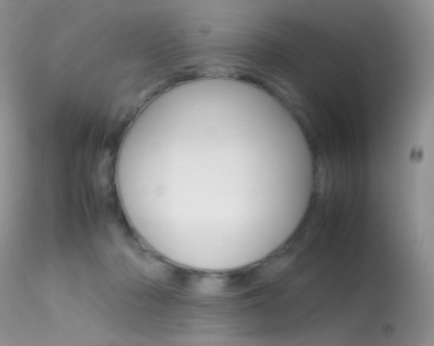 X0000113620318200909181122