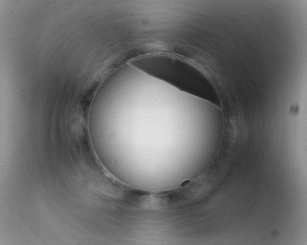 X0000113620320200909181122