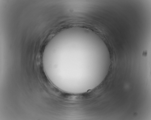 X0000113620323200909181122