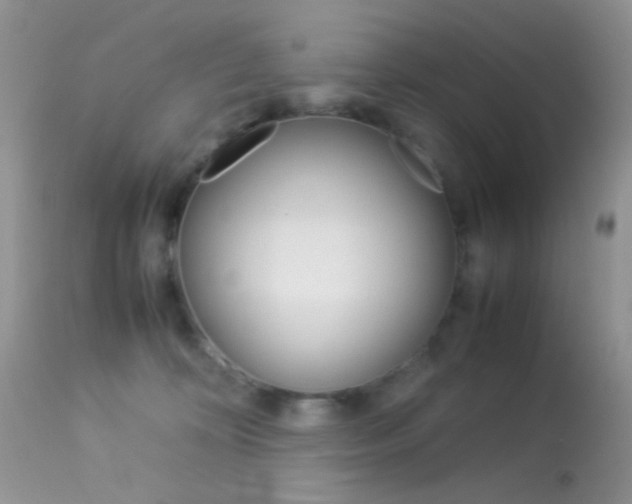 X0000113620324200909181122