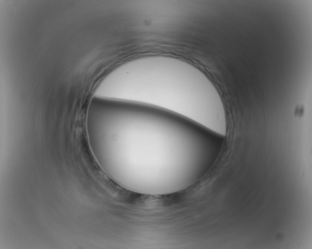 X0000113620325200909181122