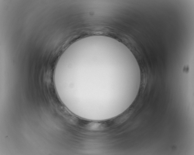 X0000113620326200909181122