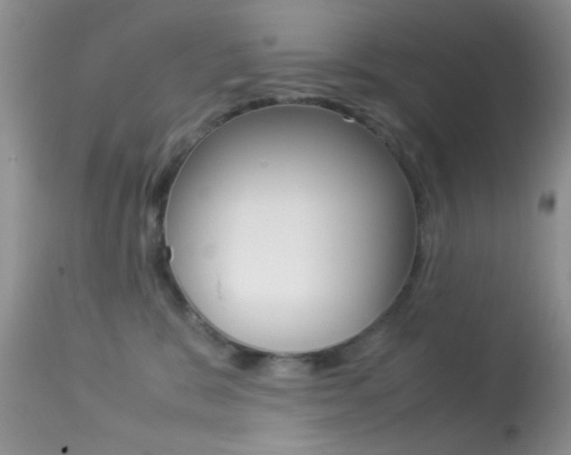 X0000113620327200909181122