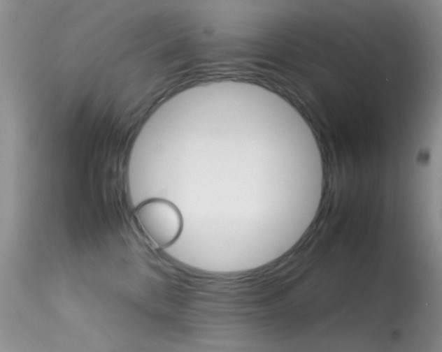 X0000113620328200909181122