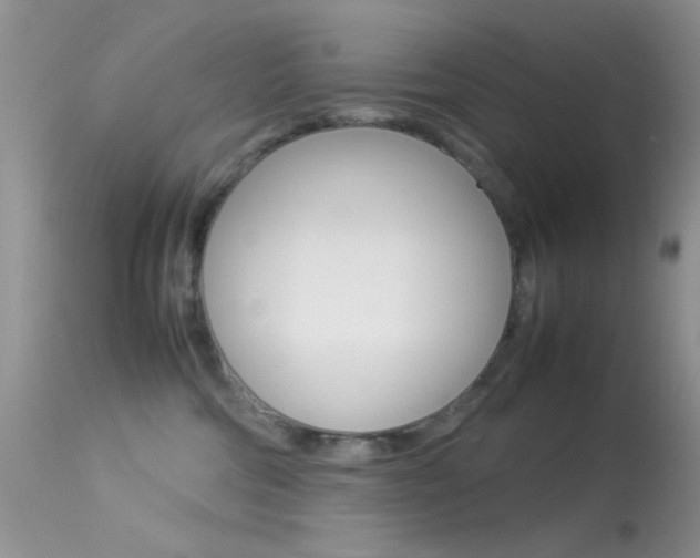 X0000113620330200909181122