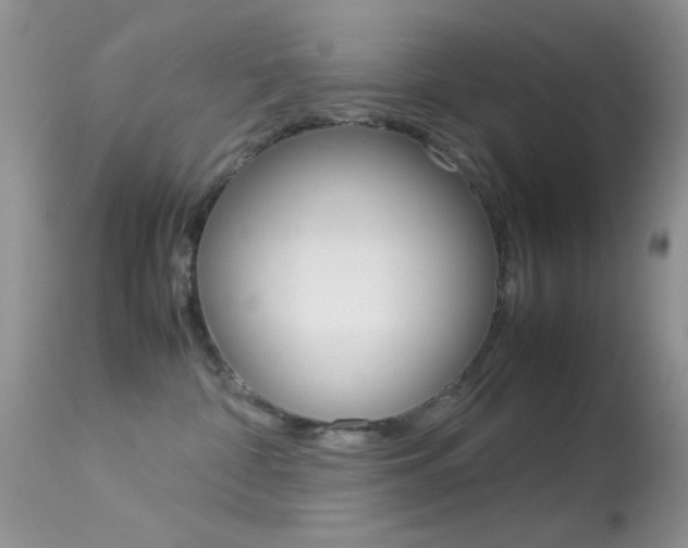 X0000113620332200909181122