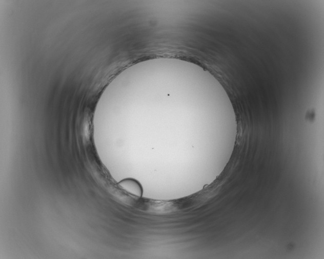 X0000113620334200909181122