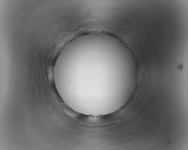 X0000113620335200909181122