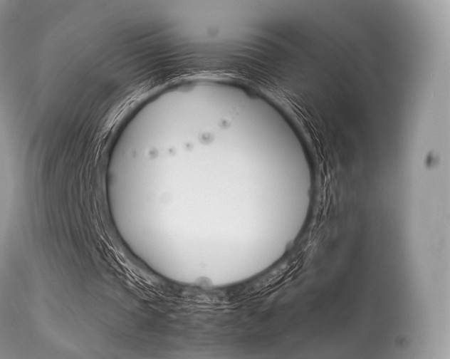 X0000113620337200909181121