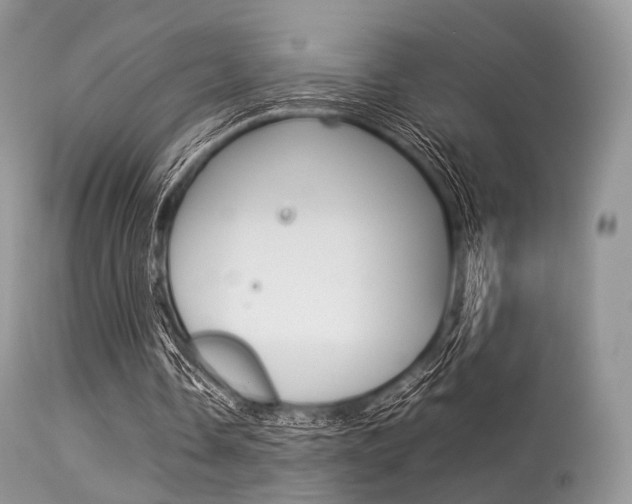 X0000113620338200909181121