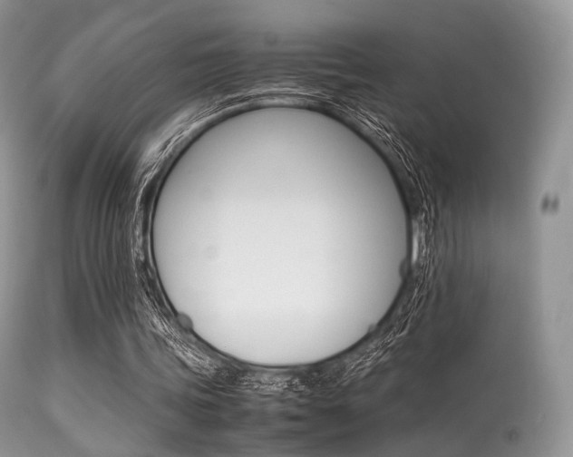 X0000113620339200909181121