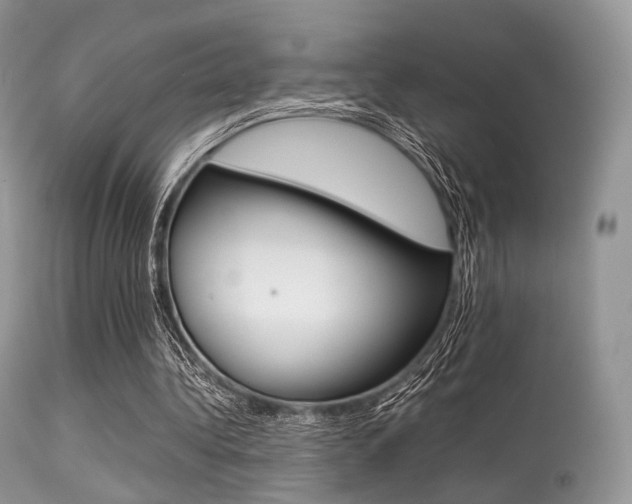 X0000113620340200909181121