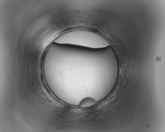 X0000113620341200909181121