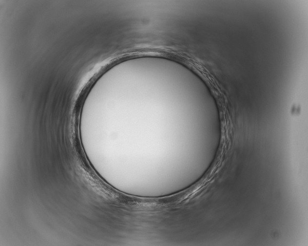 X0000113620342200909181121