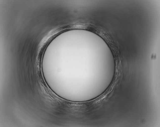 X0000113620343200909181121