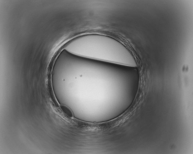 X0000113620344200909181121