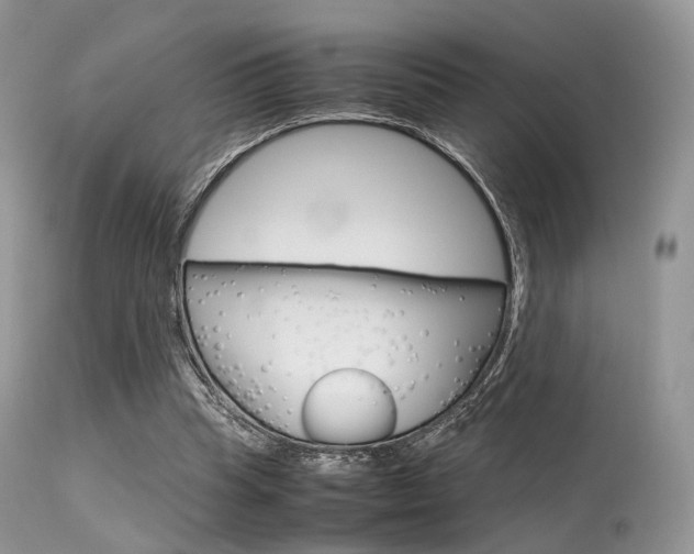 X0000113620345200909181121