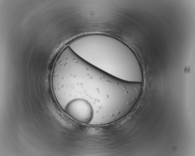 X0000113620346200909181121