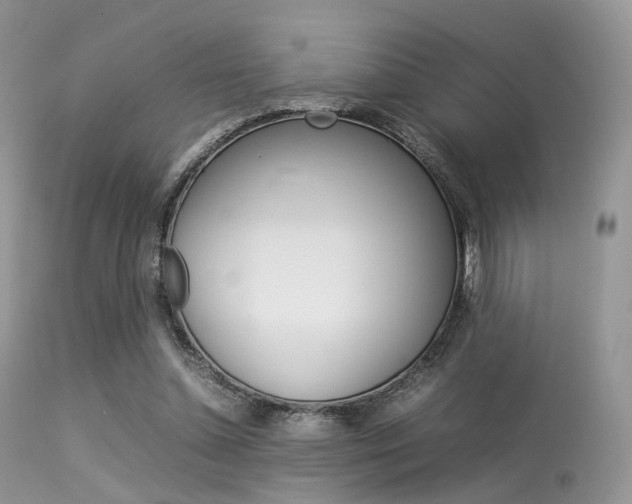 X0000113620348200909181121