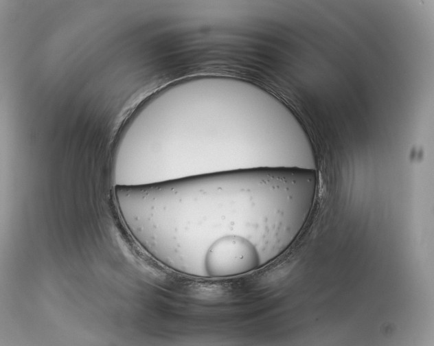 X0000113620349200909181121