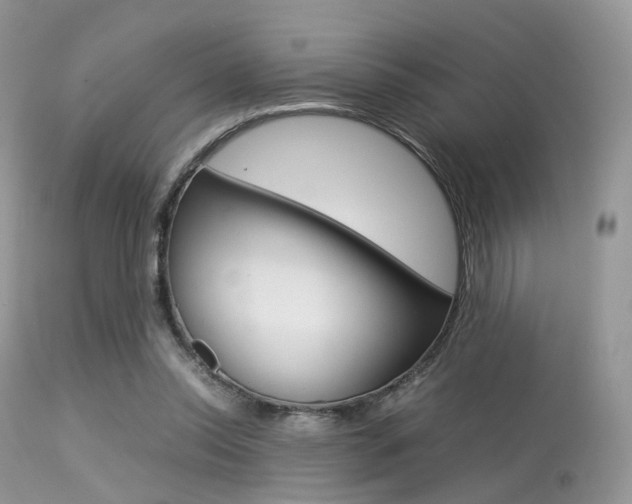 X0000113620350200909181121