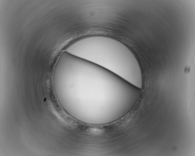 X0000113620352200909181121