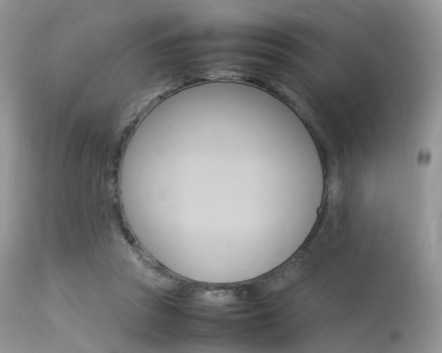 X0000113620353200909181121