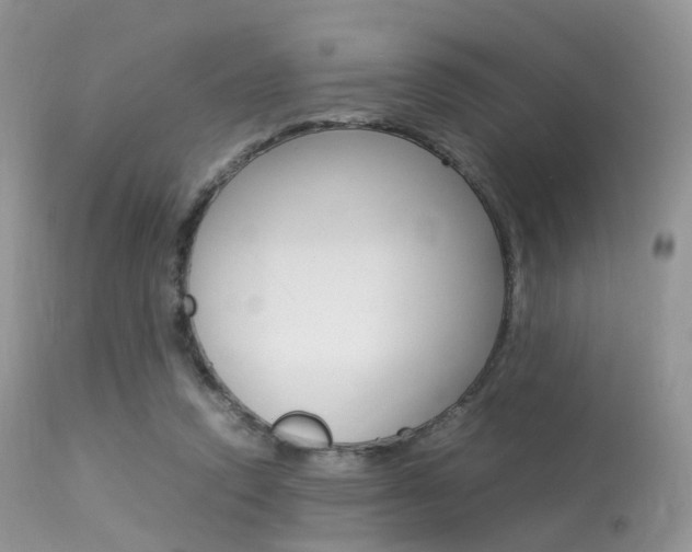 X0000113620354200909181121