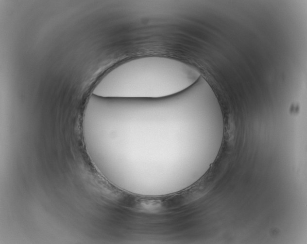 X0000113620355200909181121