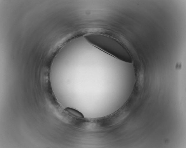 X0000113620356200909181121