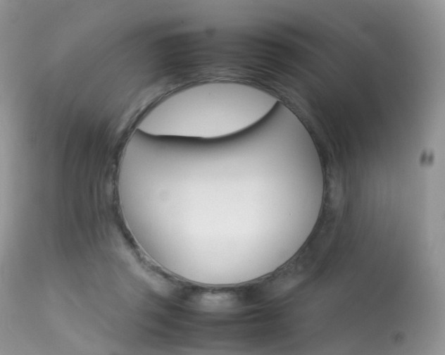 X0000113620357200909181121