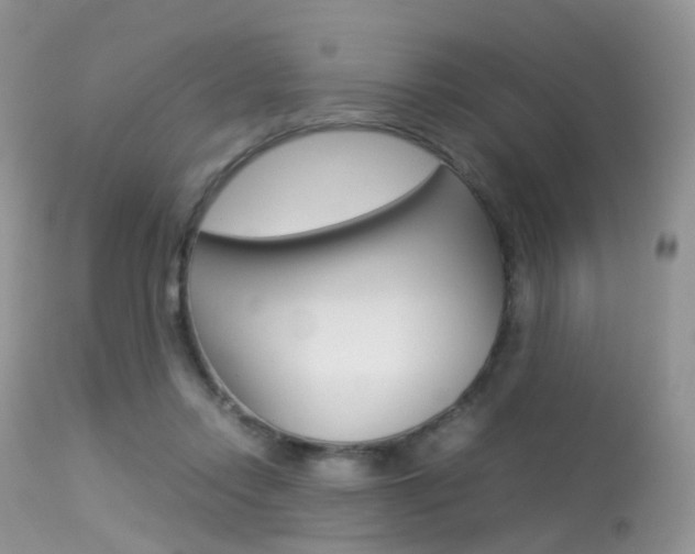 X0000113620358200909181121