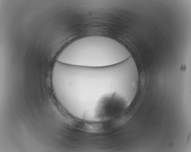 X0000113620359200909181121