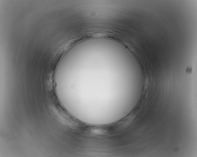 X0000113620360200909181121