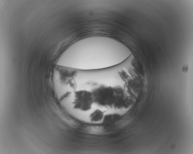 X0000113620361200909181121