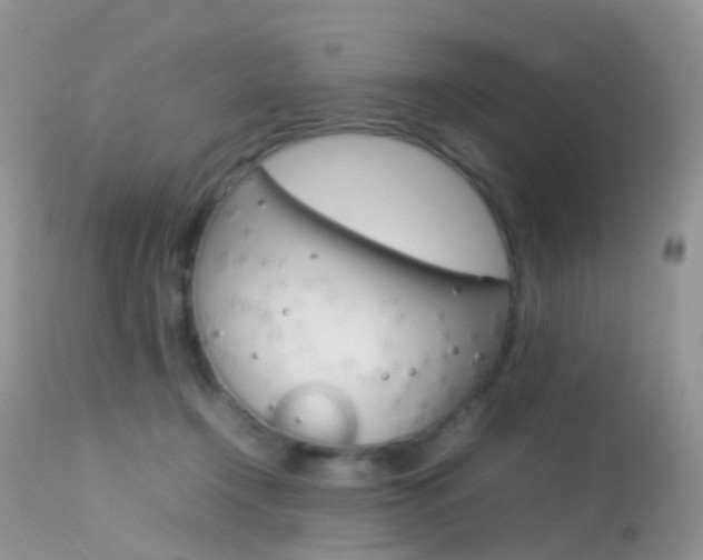 X0000113620366200909181121