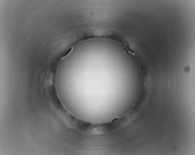 X0000113620368200909181121