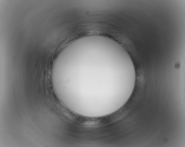 X0000113620369200909181122