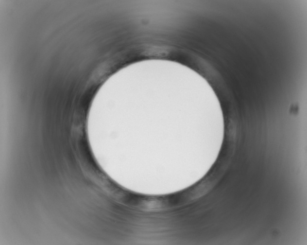 X0000113620370200909181122