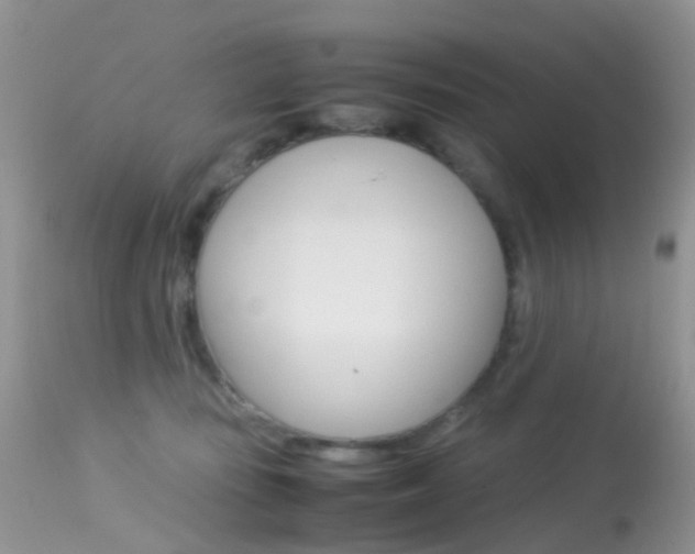 X0000113620371200909181122