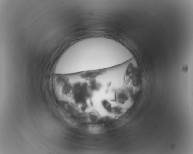 X0000113620373200909181122