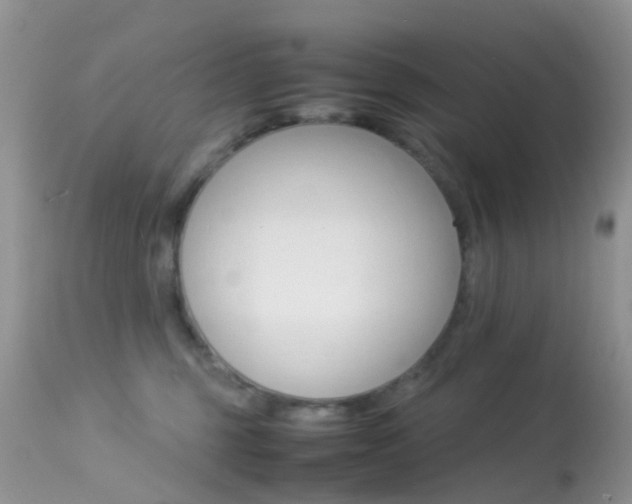 X0000113620375200909181122