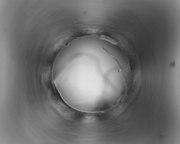 X0000113620376200909181122