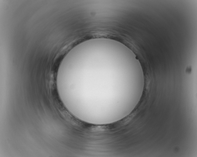 X0000113620378200909181122