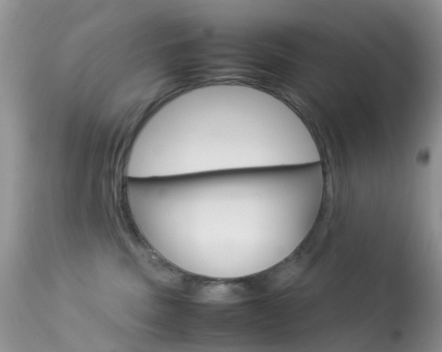 X0000113620379200909181122