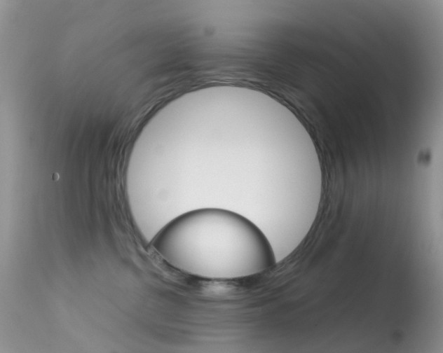 X0000113620380200909181122